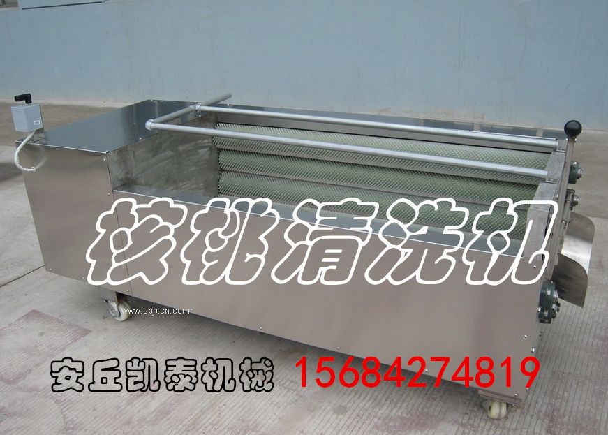 核桃清洗機 洗果機