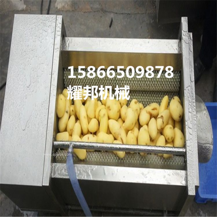 供應(yīng) 根莖類植物毛刷清洗機