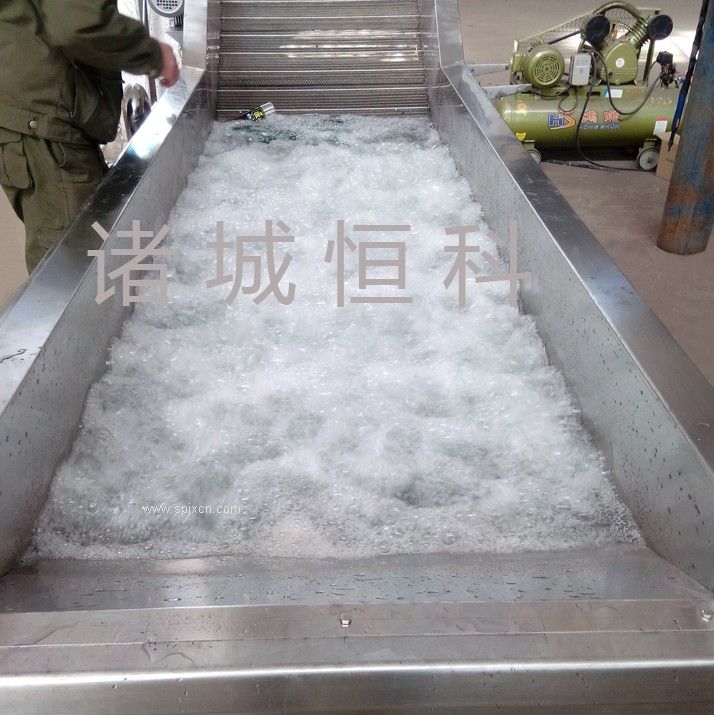 恒科供應蔬菜清洗機/水果清洗機